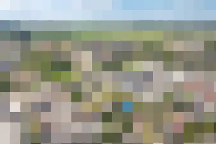 het Ambacht 7 Beneden-Leeuwen thumbnail 52