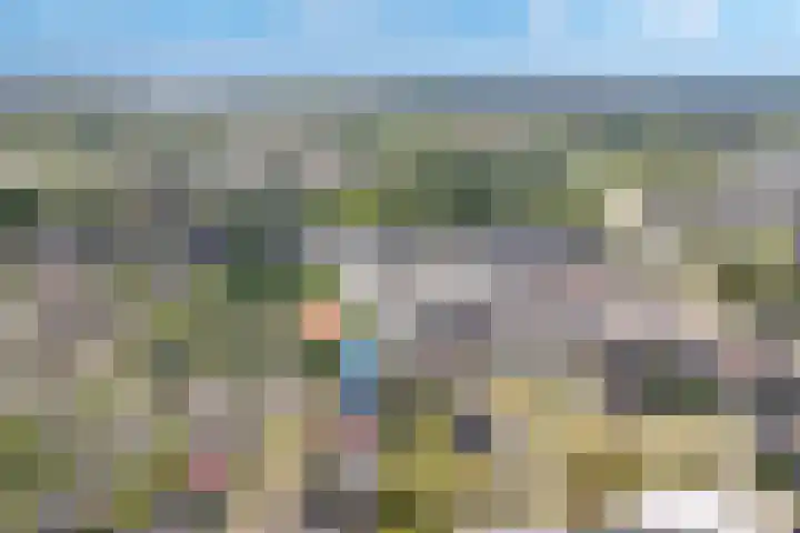 het Ambacht 7 Beneden-Leeuwen thumbnail 53