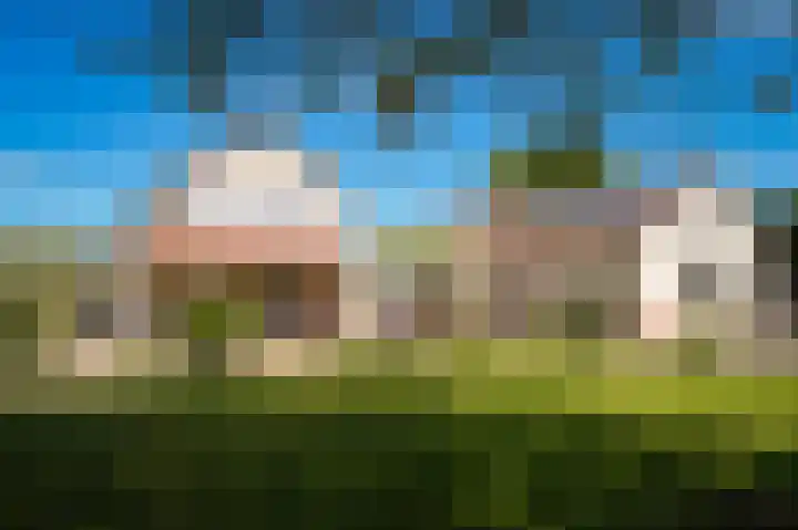 het Ambacht 7 Beneden-Leeuwen thumbnail 59