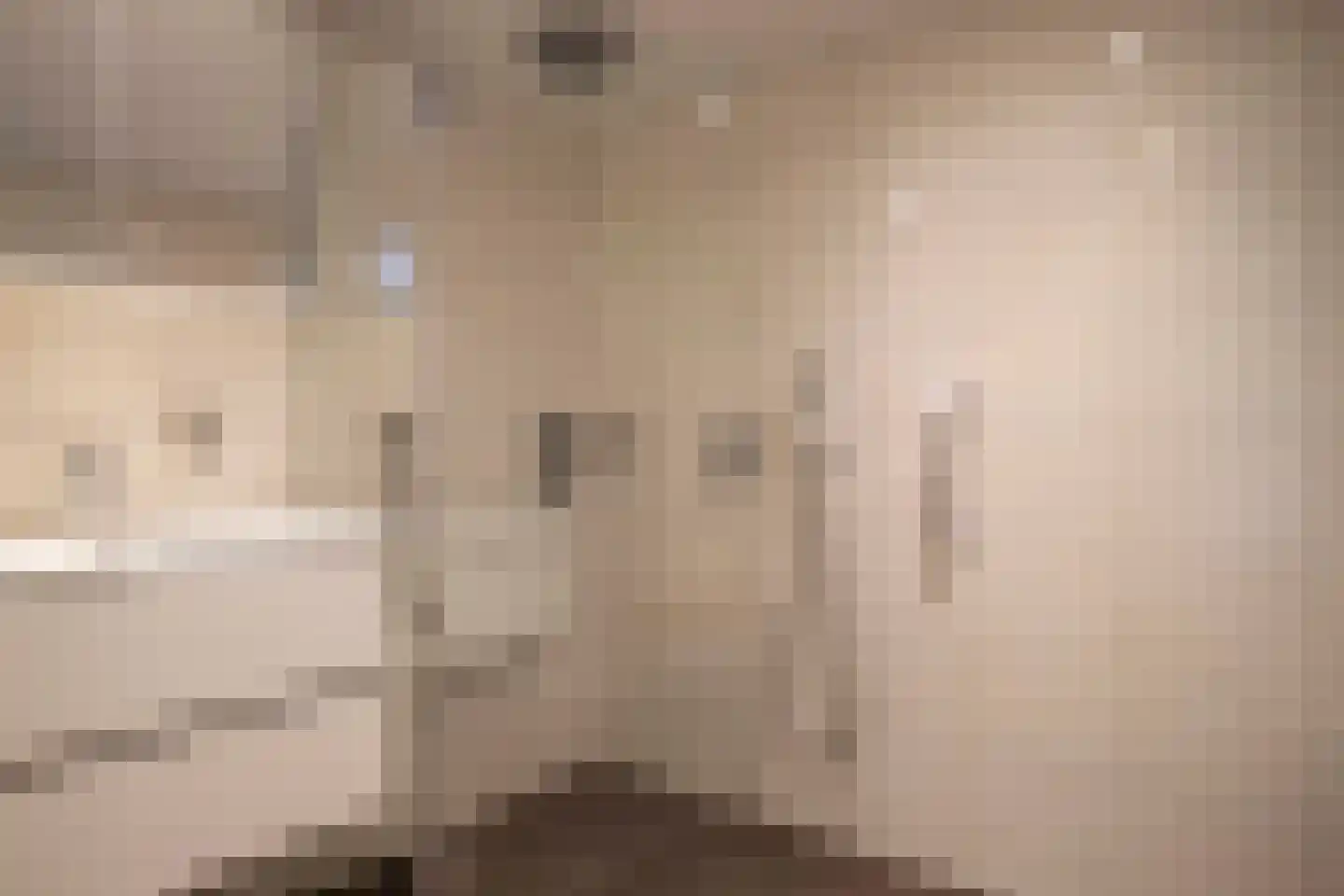Het Ambt 80 Hasselt thumbnail 24