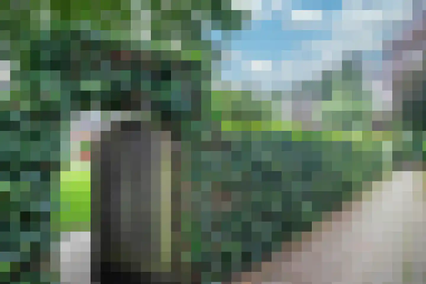 Het Ambt 80 Hasselt thumbnail 30