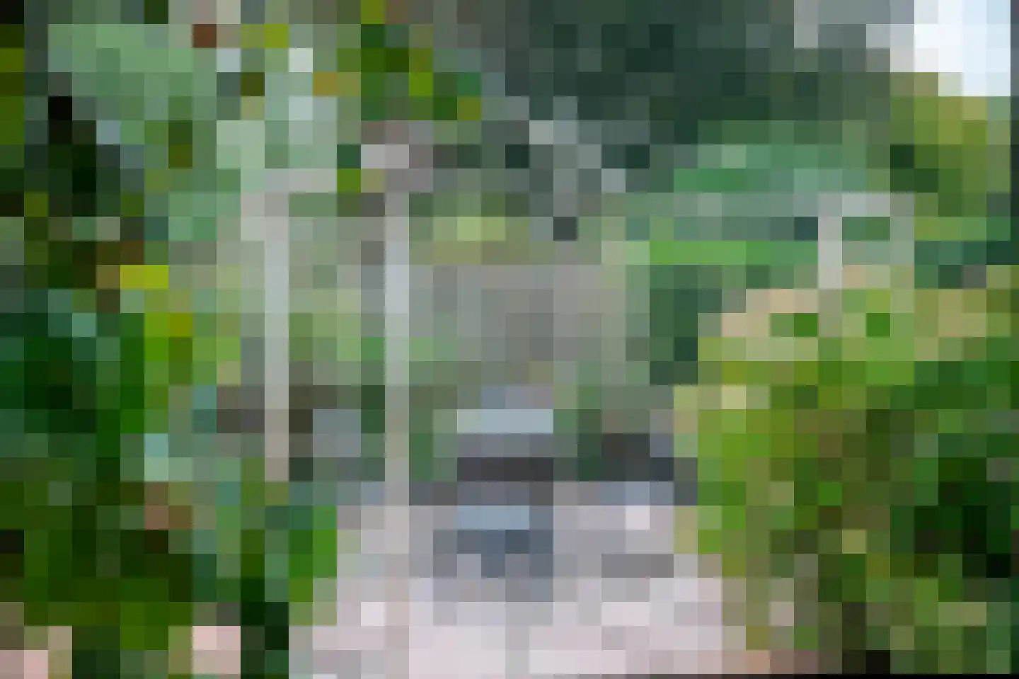 Het Ambt 80 Hasselt thumbnail 33
