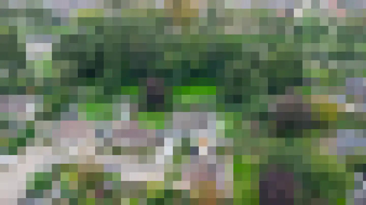 Het Ambt 80 Hasselt thumbnail 7