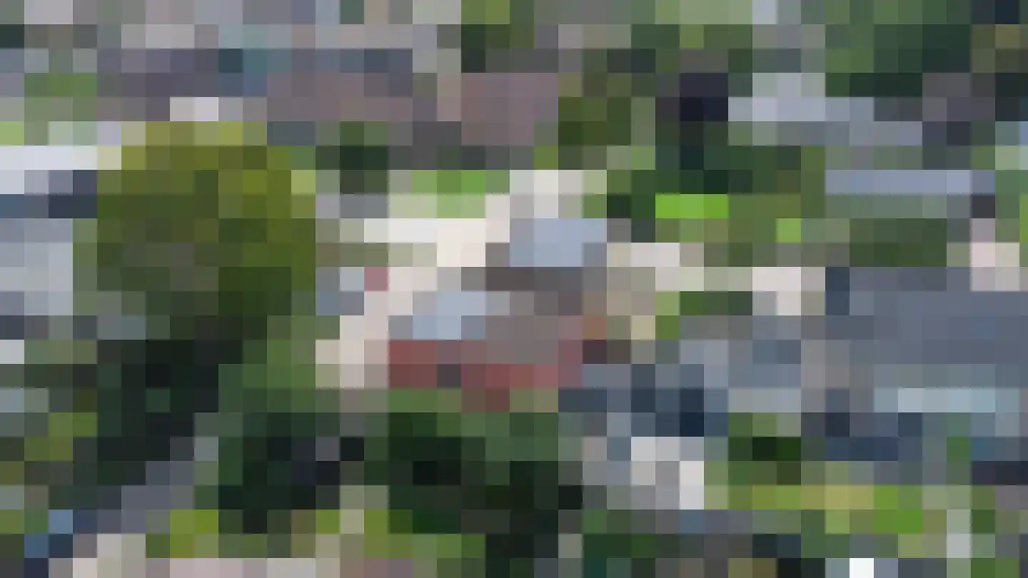 Het Ambt Hasselt thumbnail 47