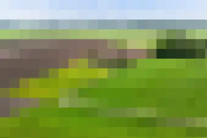 het Anem 16 in Wijhe