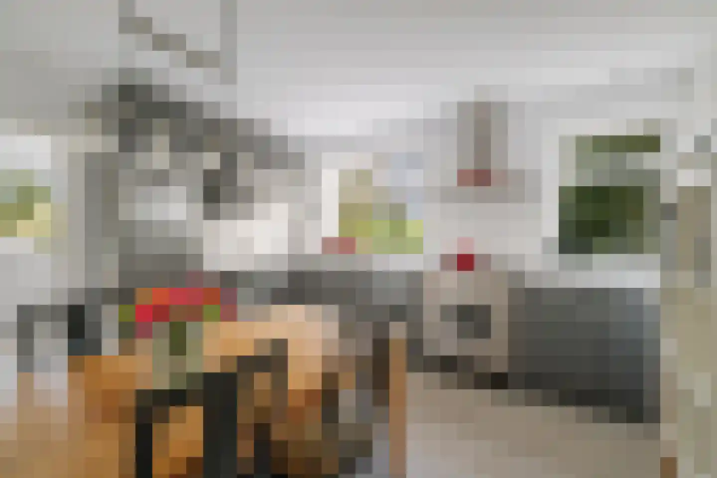 het Anem 28 Wijhe thumbnail 10