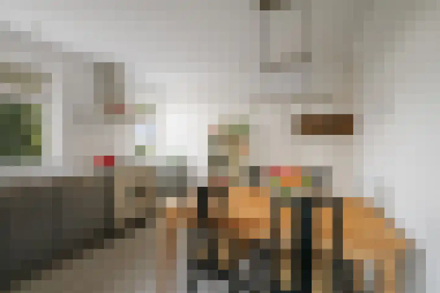 het Anem 28 Wijhe thumbnail 12