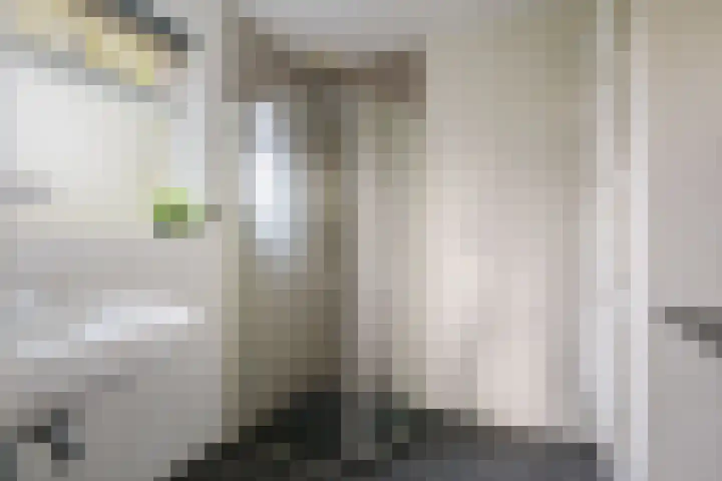 het Anem 28 Wijhe thumbnail 14