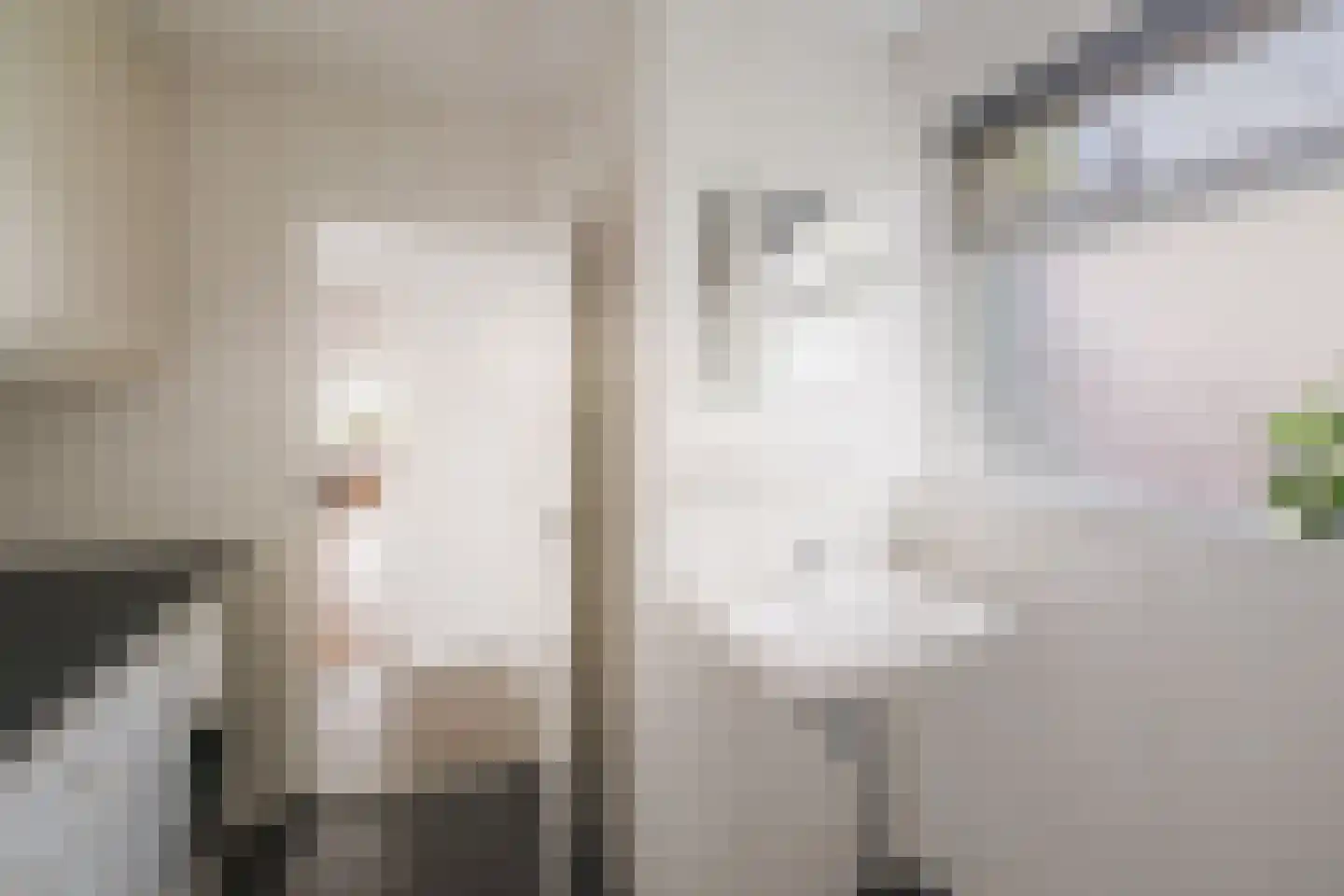 het Anem 28 Wijhe thumbnail 15