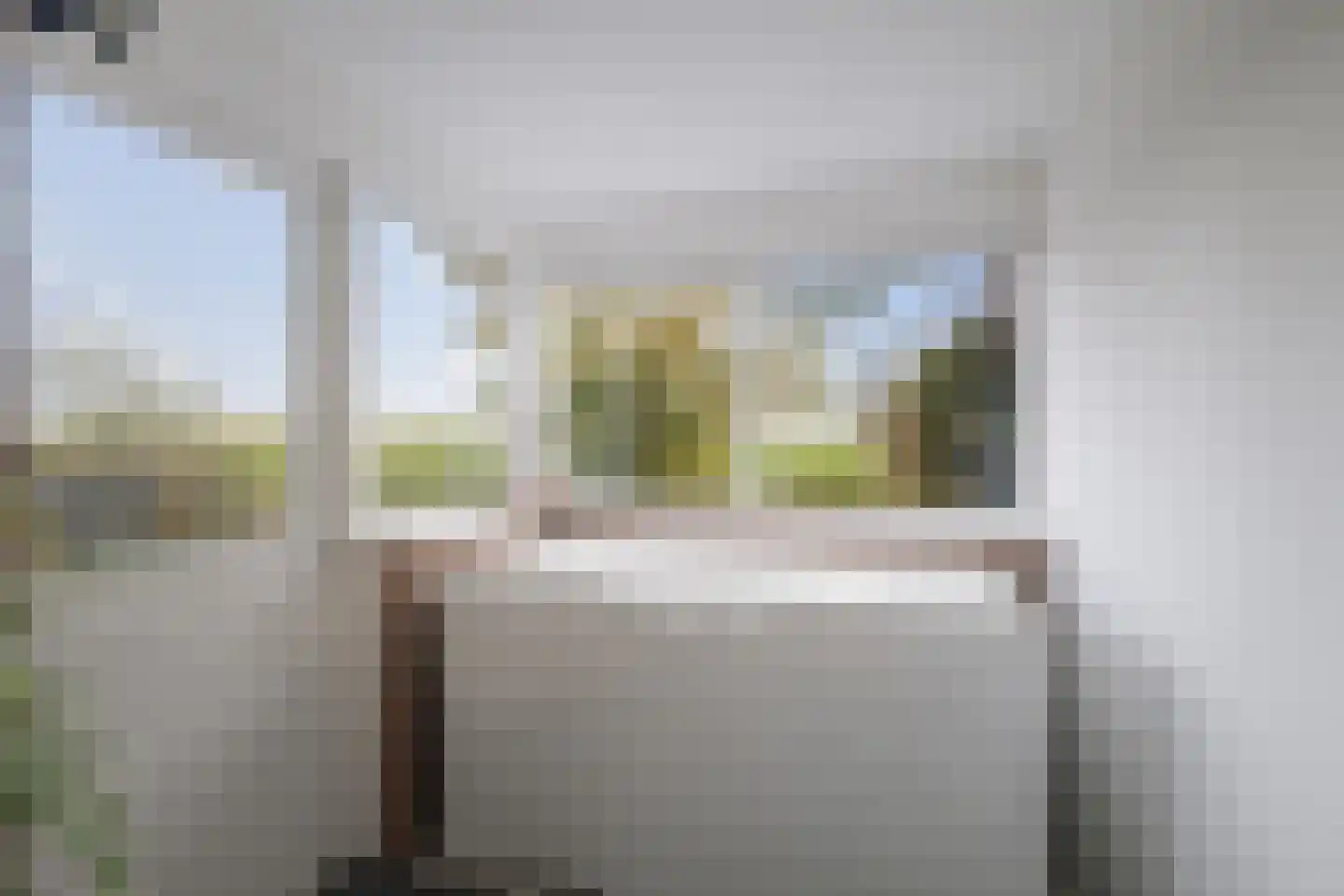 het Anem 28 Wijhe thumbnail 17
