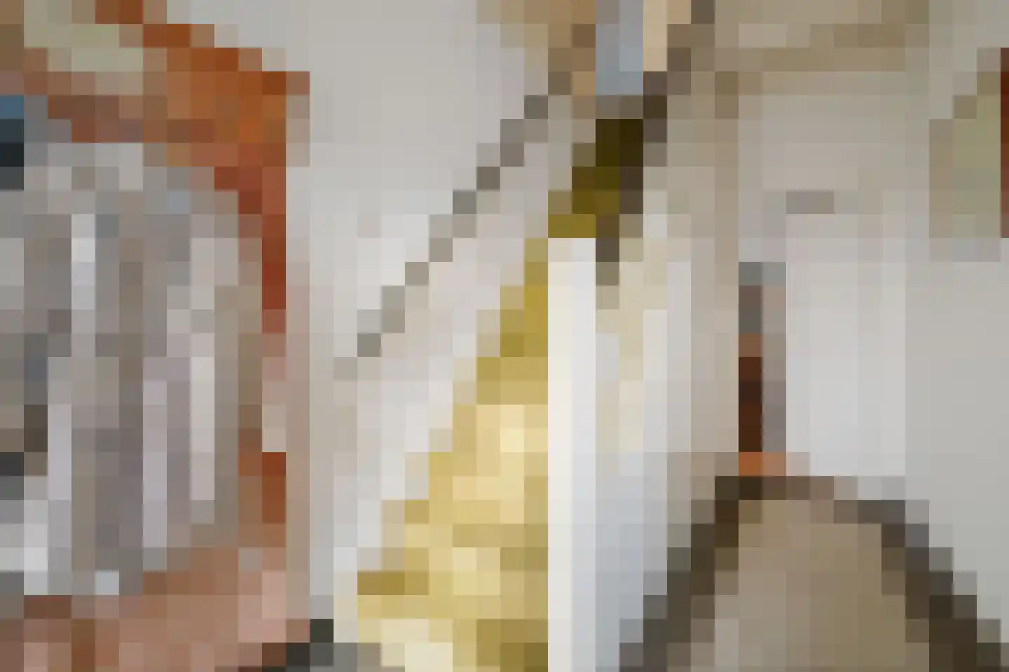 het Anem 28 Wijhe thumbnail 19