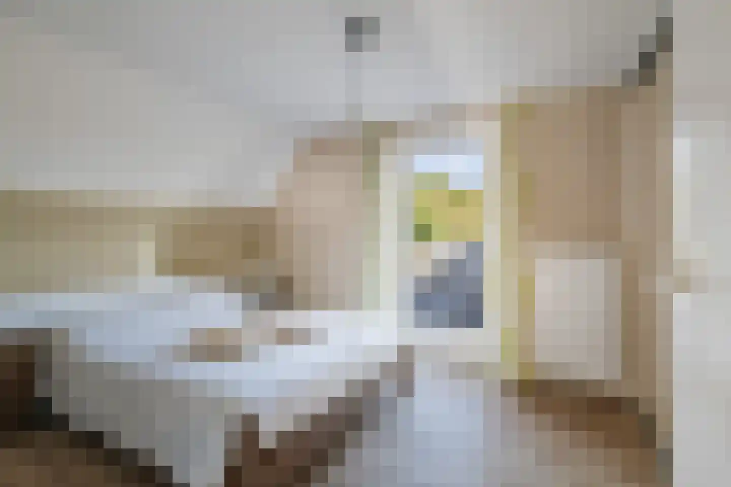 het Anem 28 Wijhe thumbnail 20