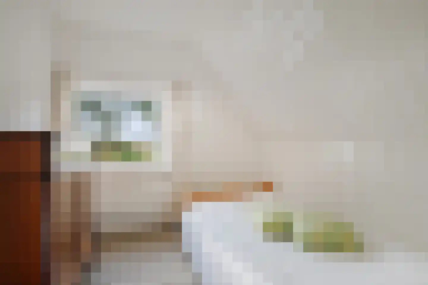 het Anem 28 Wijhe thumbnail 22