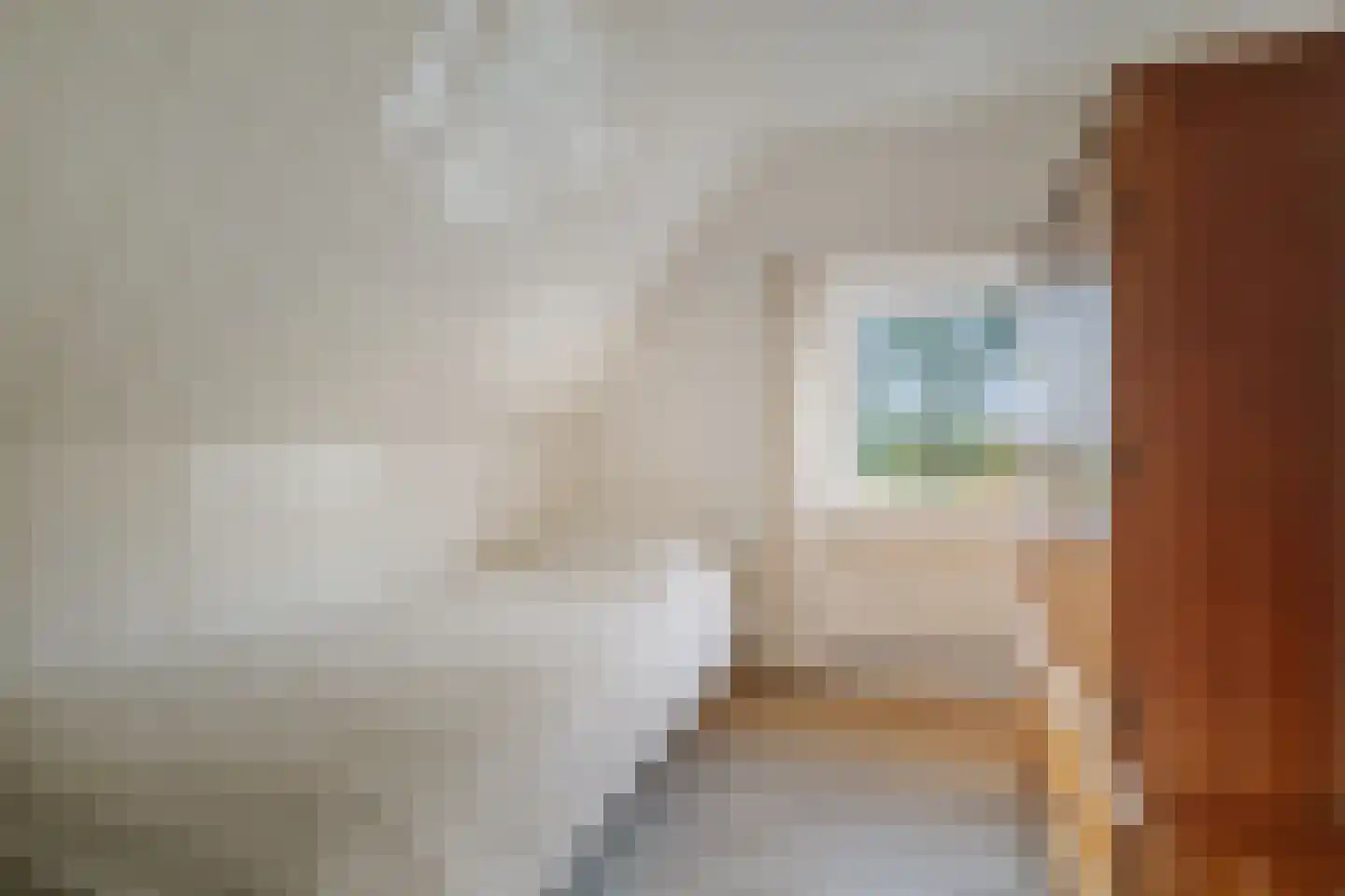 het Anem 28 Wijhe thumbnail 23