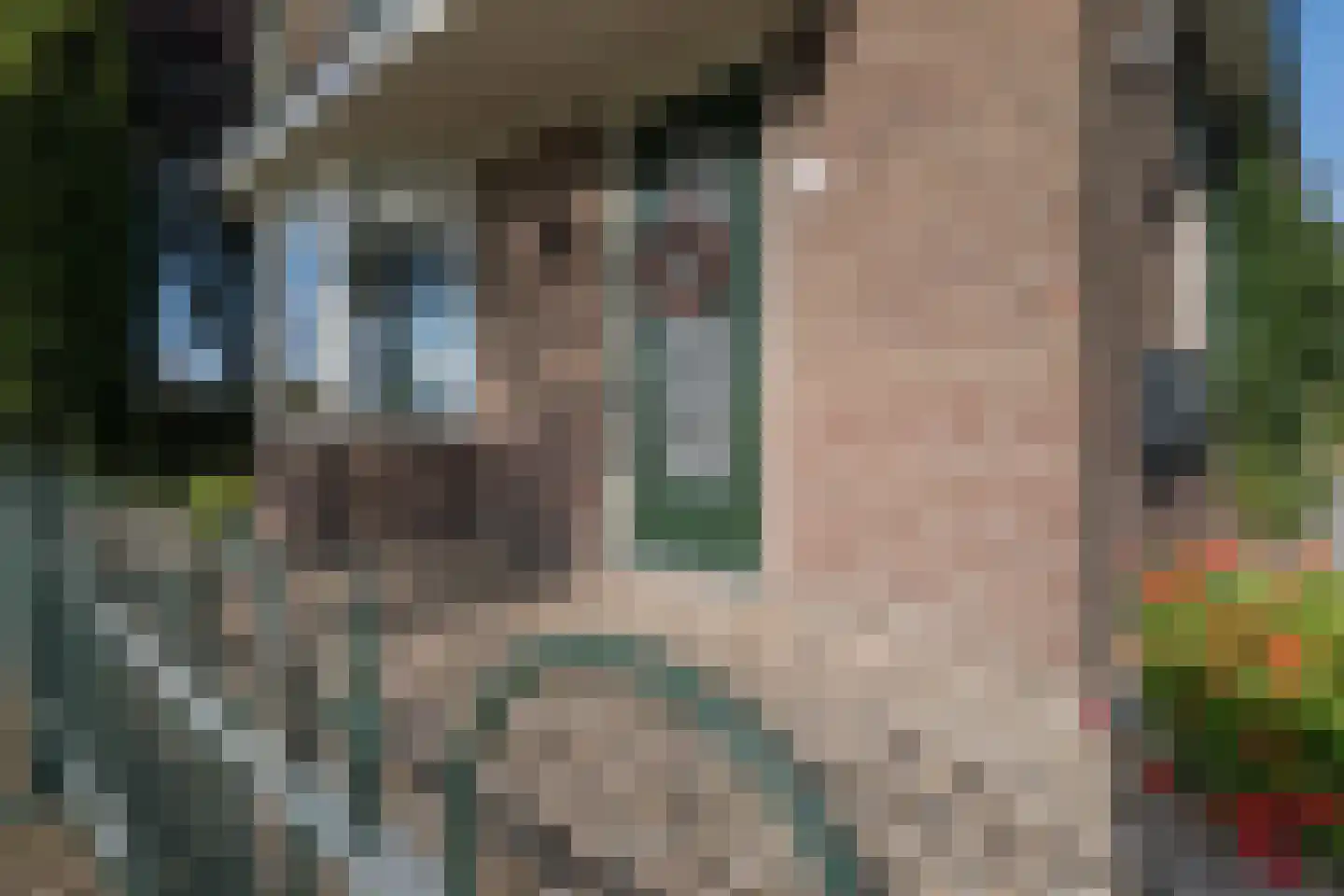 het Anem 28 Wijhe thumbnail 26