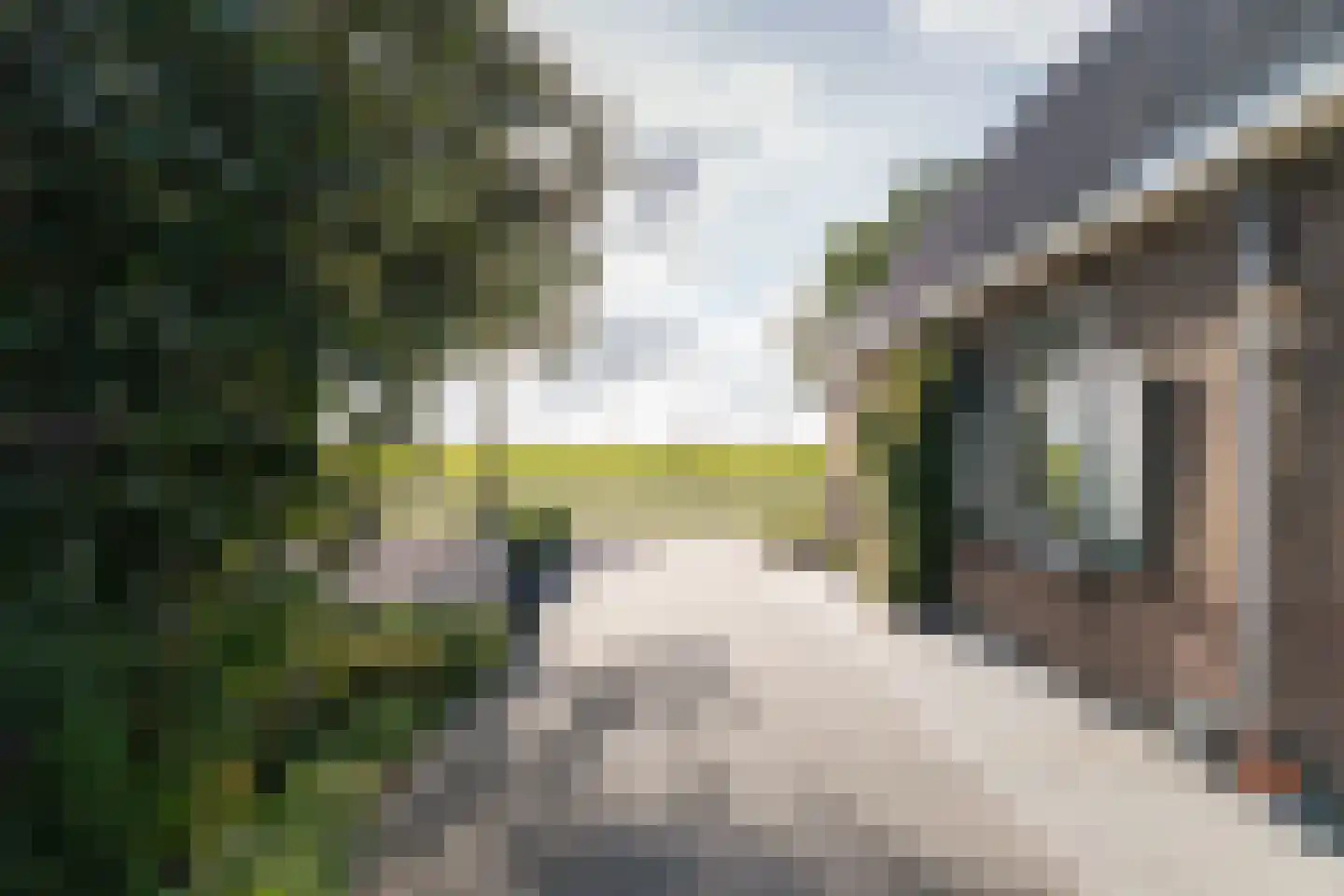 het Anem 28 Wijhe thumbnail 27