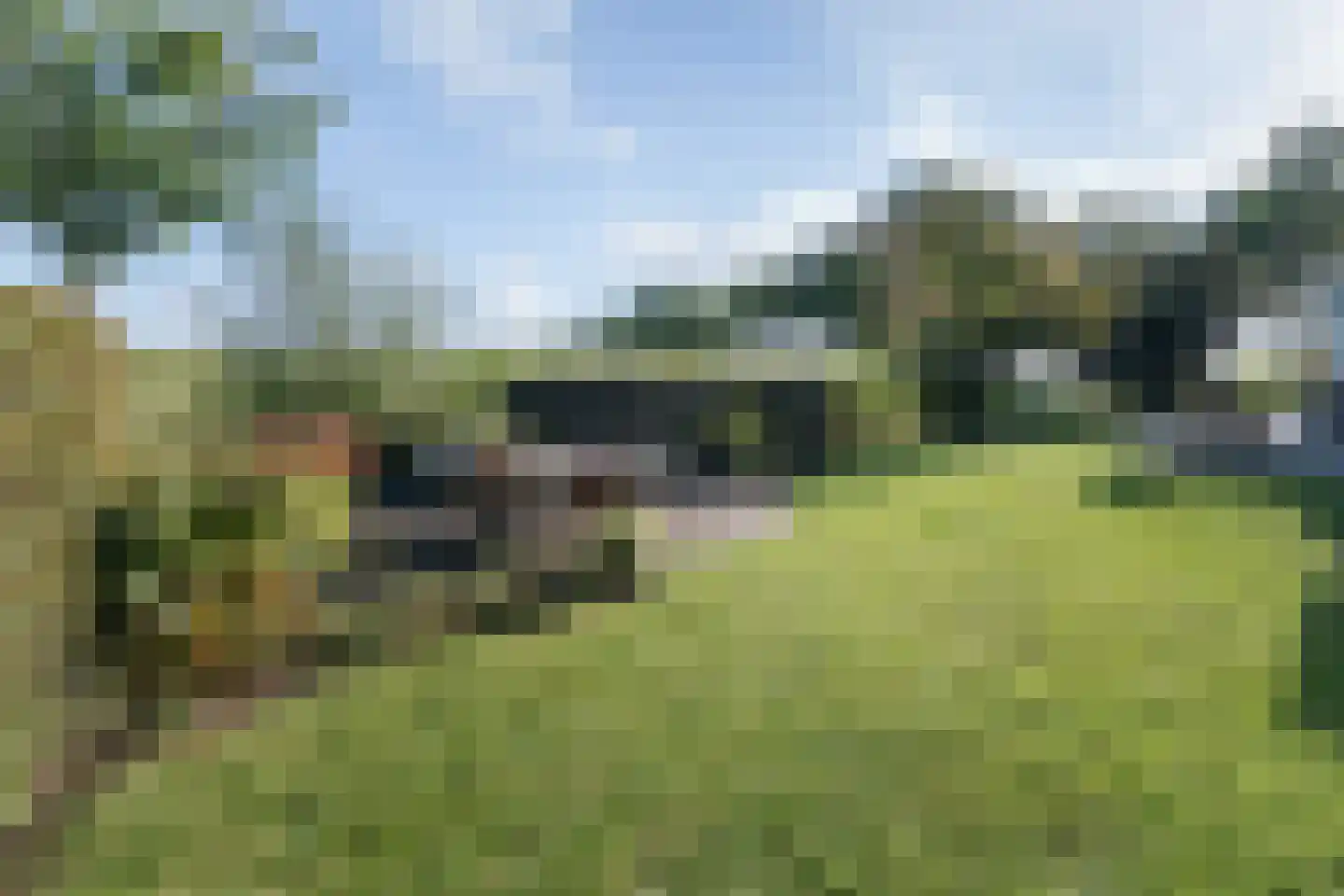 het Anem 28 Wijhe thumbnail 31