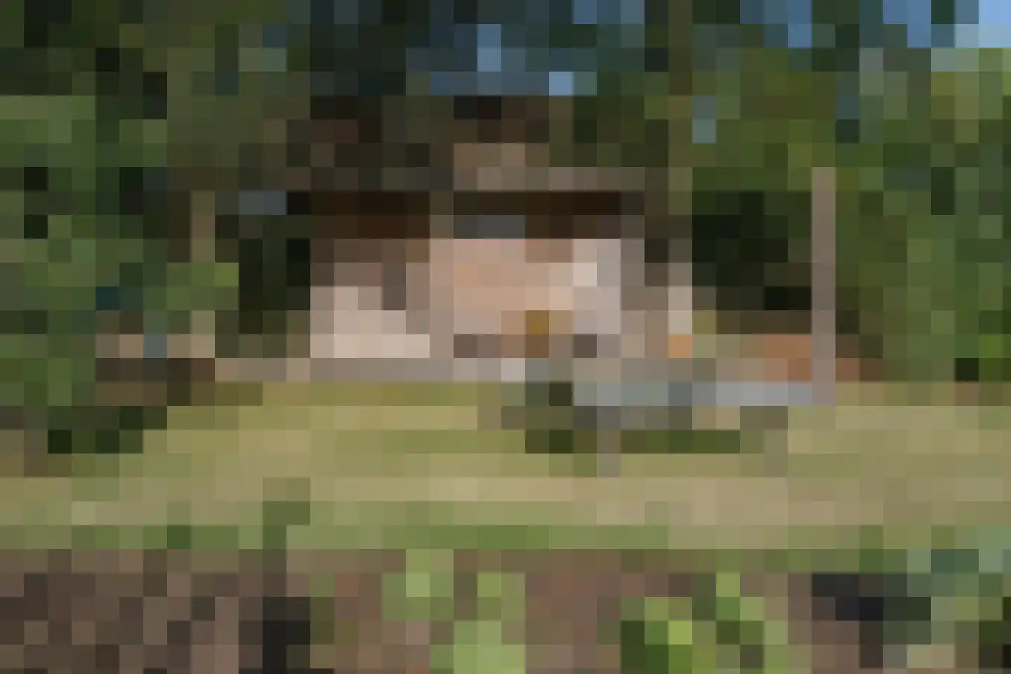 het Anem 28 Wijhe thumbnail 33