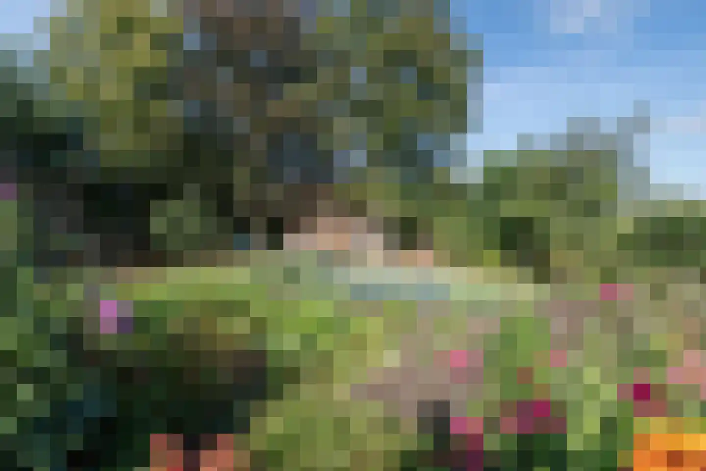 het Anem 28 Wijhe thumbnail 34