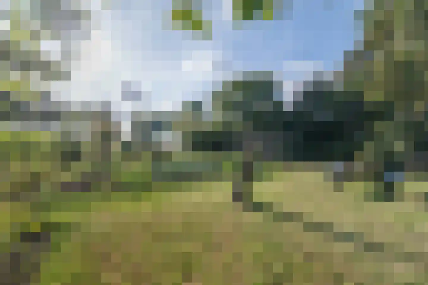 het Anem 28 Wijhe thumbnail 36