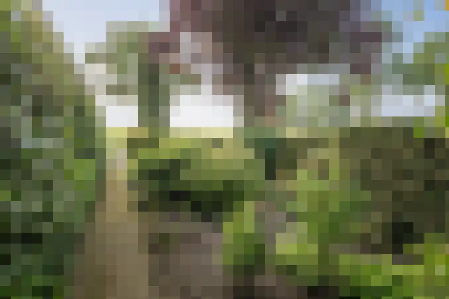 het Anem 28 Wijhe thumbnail 37