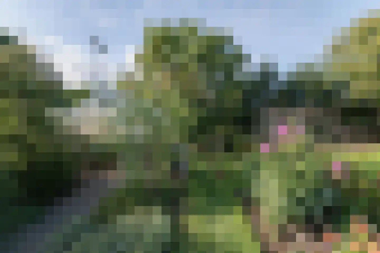 het Anem 28 Wijhe thumbnail 38