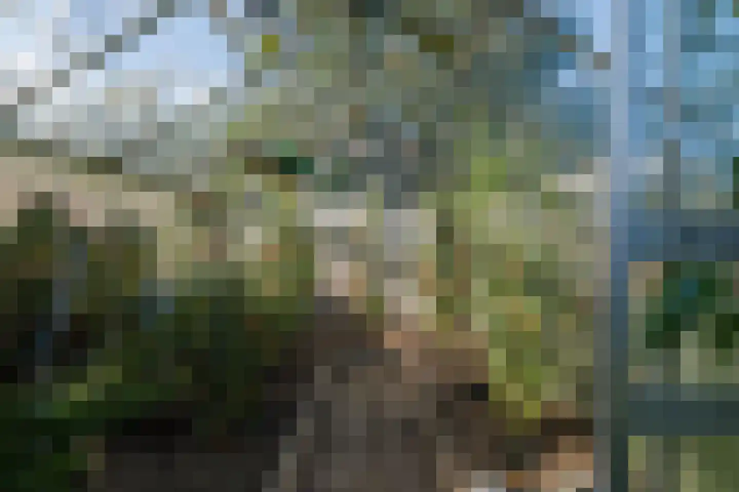 het Anem 28 Wijhe thumbnail 39