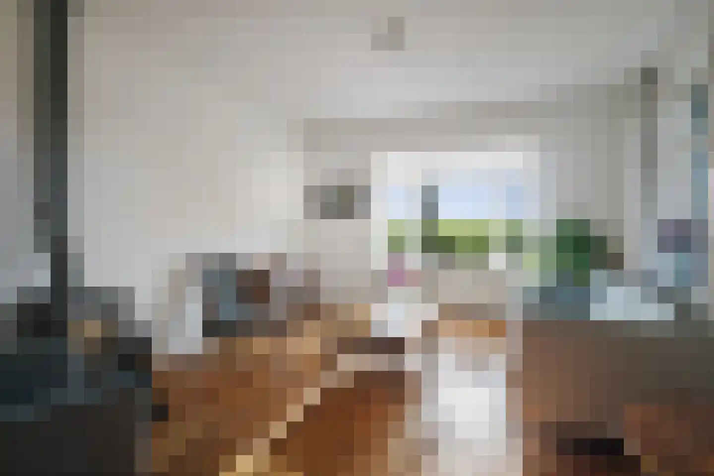 het Anem 28 Wijhe thumbnail 4