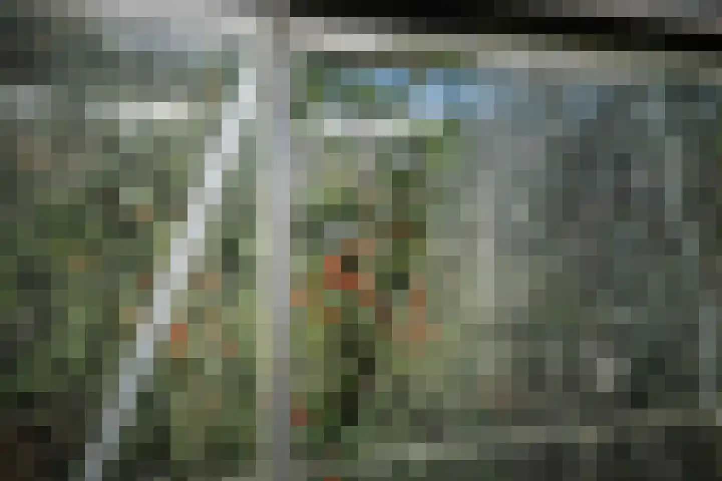 het Anem 28 Wijhe thumbnail 40