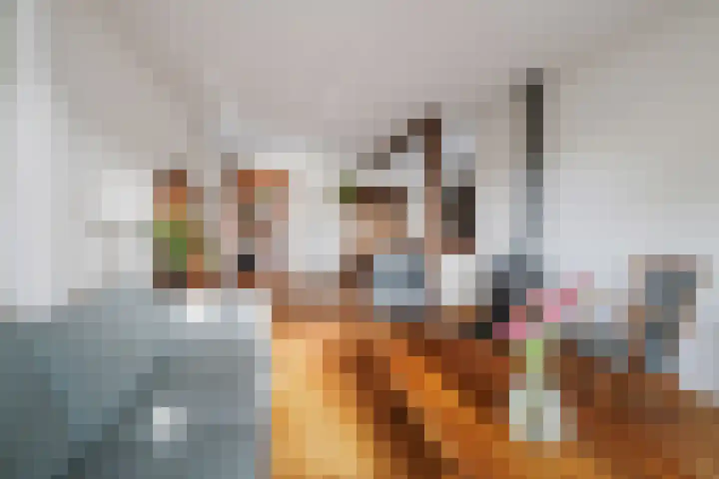 het Anem 28 Wijhe thumbnail 6