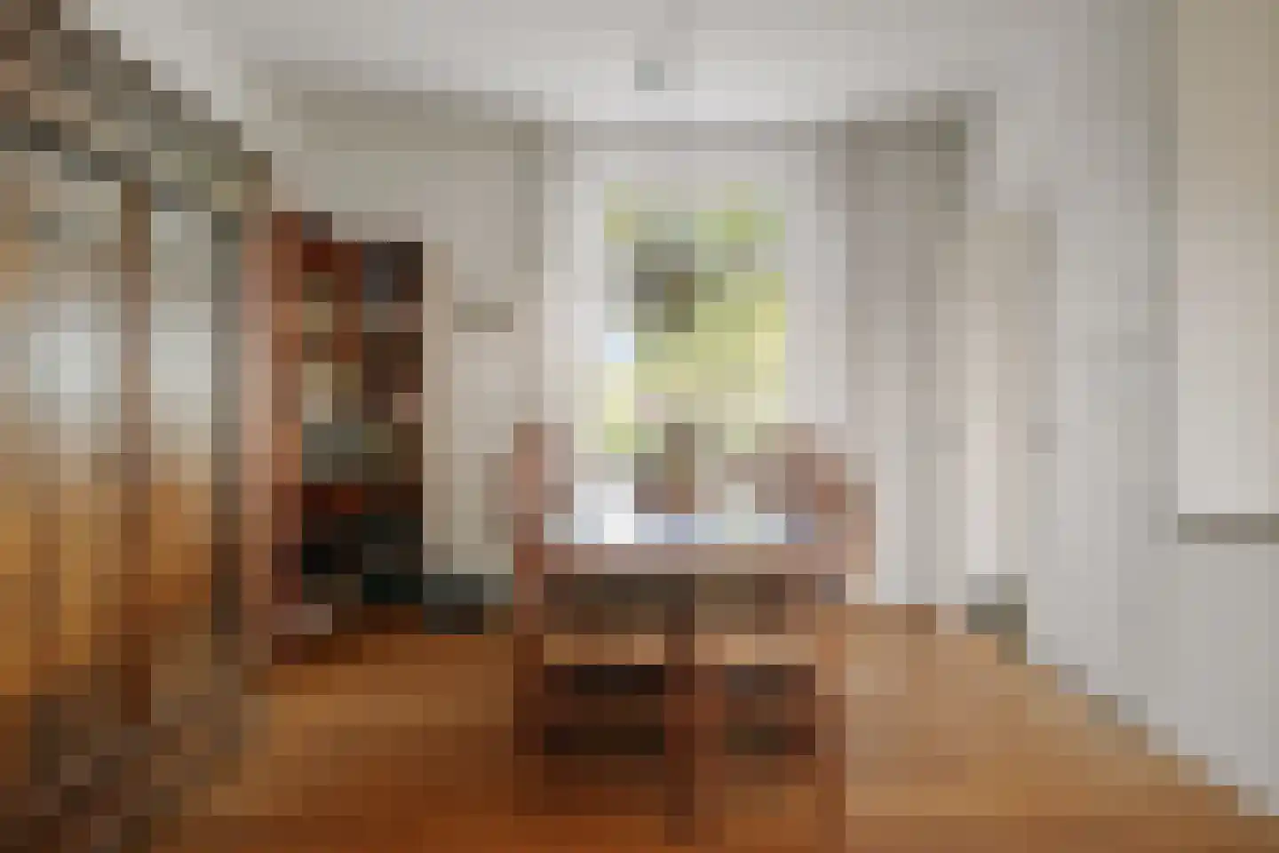 het Anem 28 Wijhe thumbnail 8