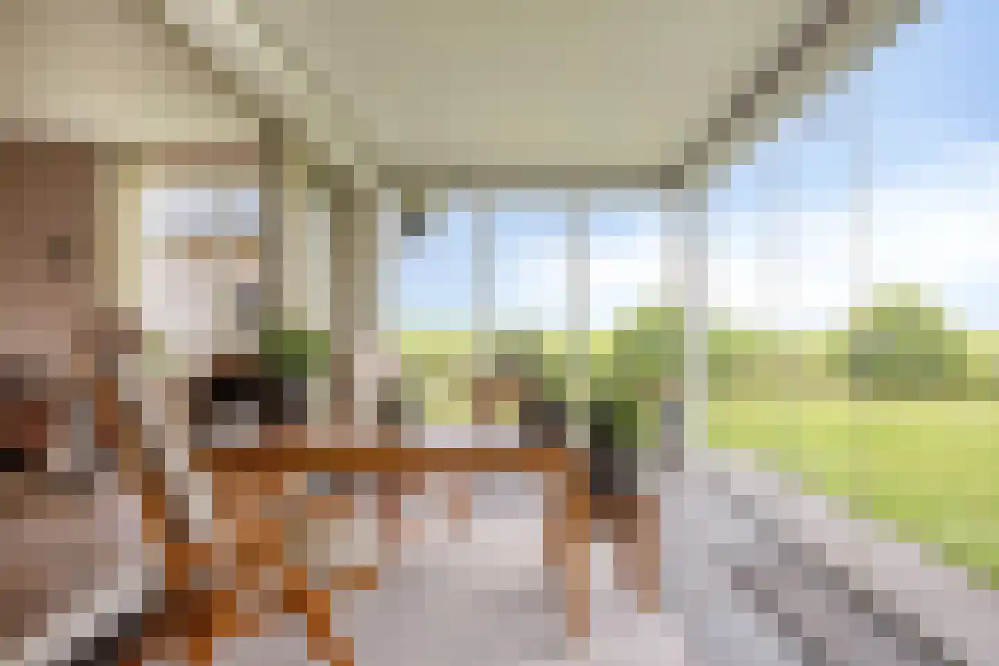 Het Anker 22 Kuinre thumbnail 13