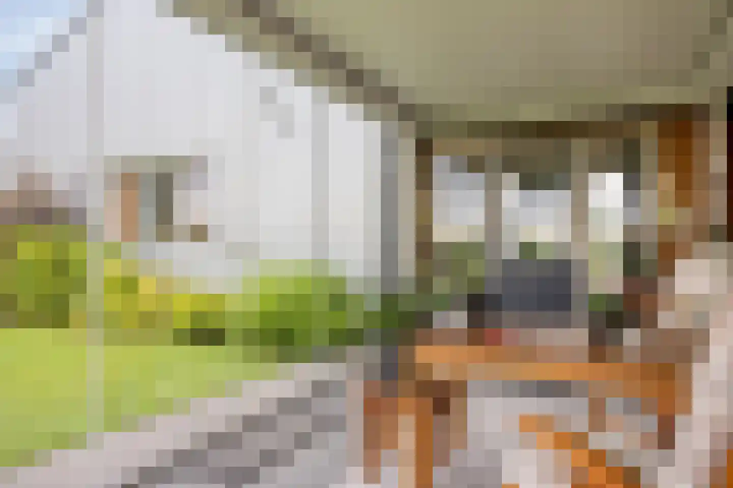 Het Anker 22 Kuinre thumbnail 15