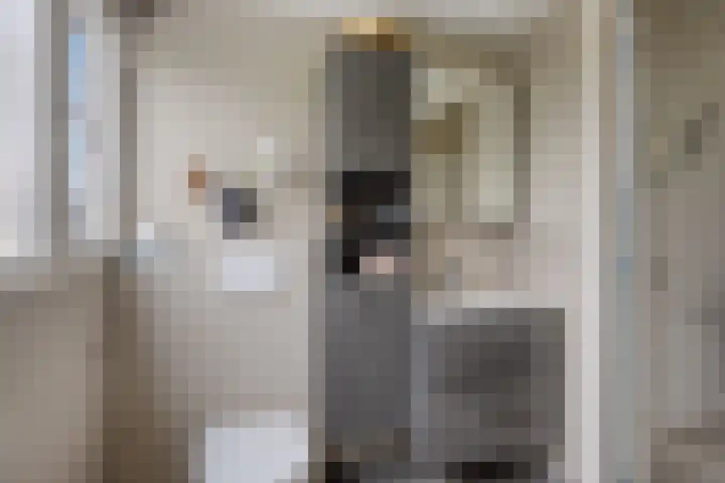 Het Anker 22 Kuinre thumbnail 27