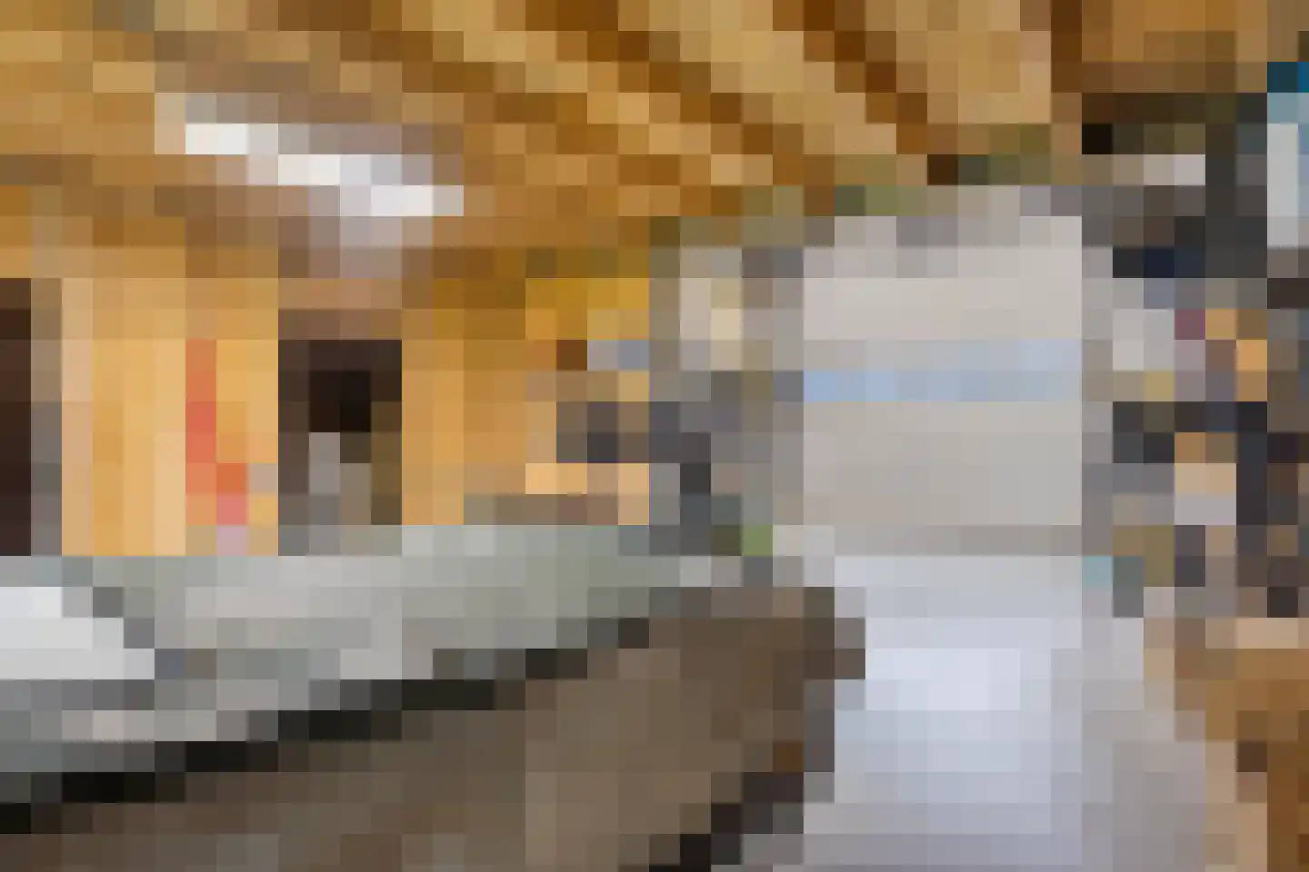 Het Anker 22 Kuinre thumbnail 31
