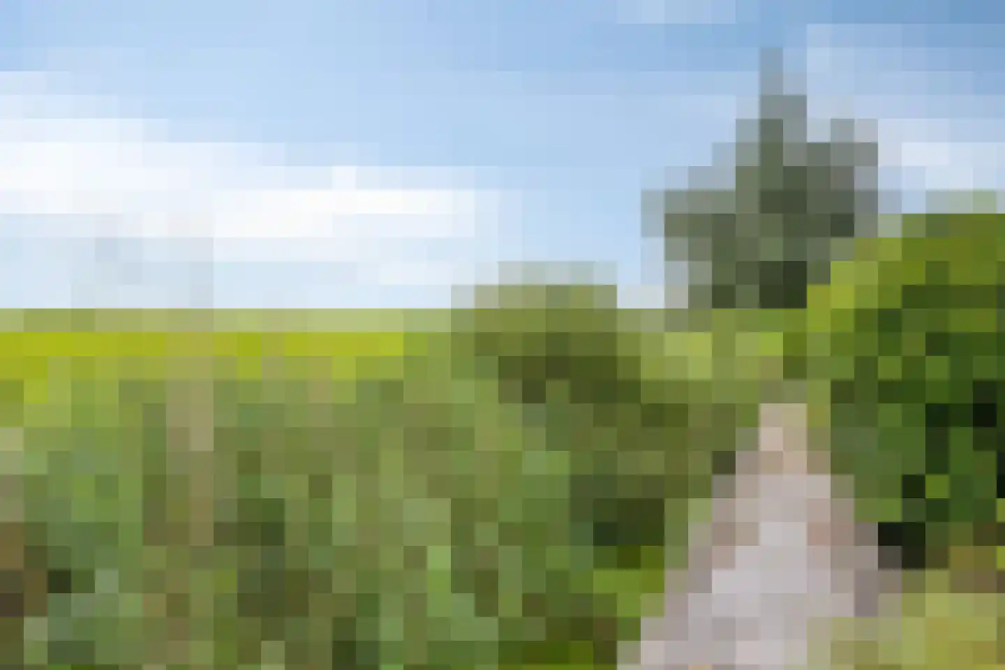 Het Anker 22 Kuinre thumbnail 41