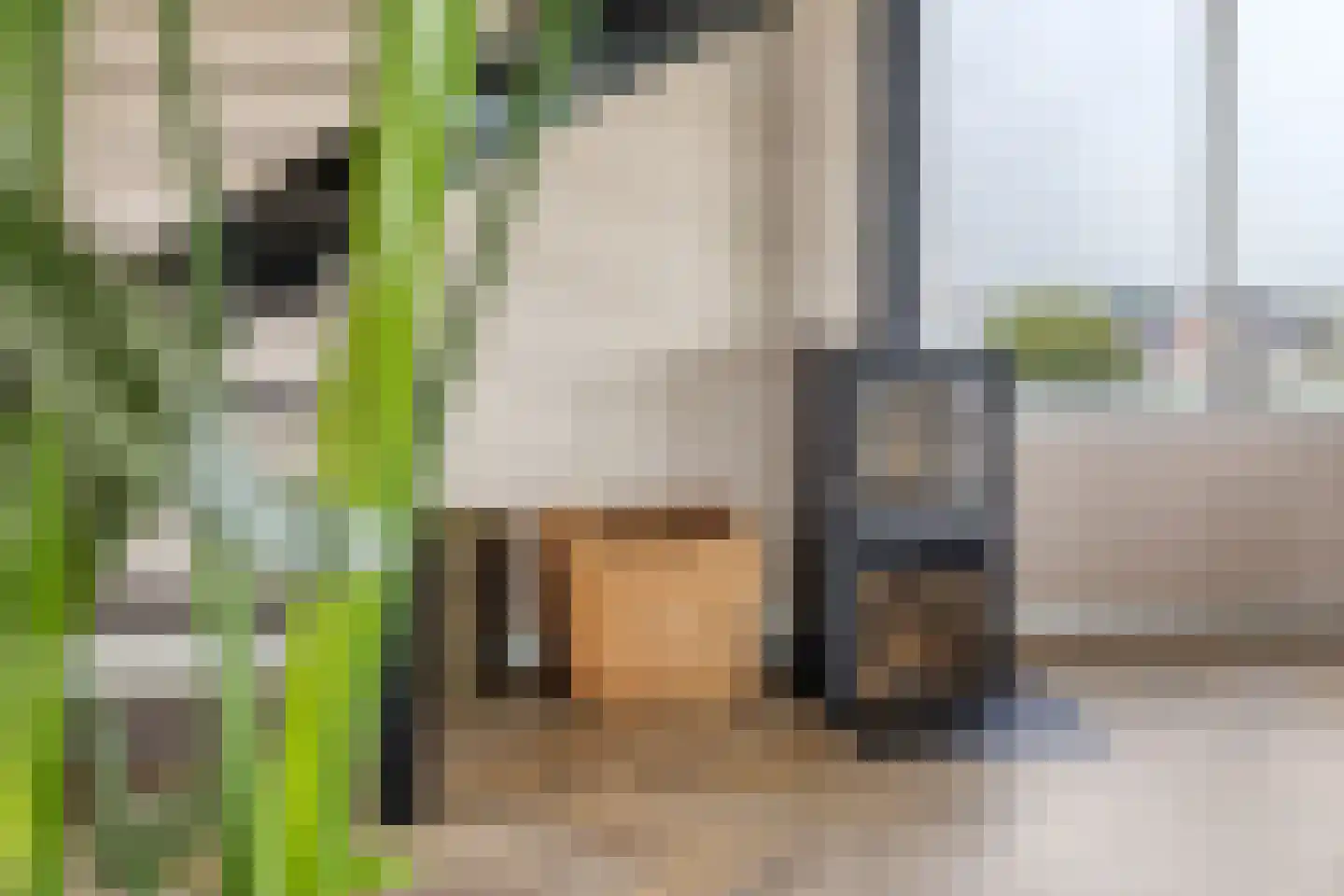 Het Anker 22 Kuinre thumbnail 7