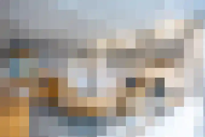 Het Anker 42 Leek thumbnail 11