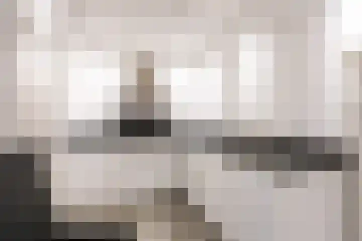 Het Anker 42 Leek thumbnail 12