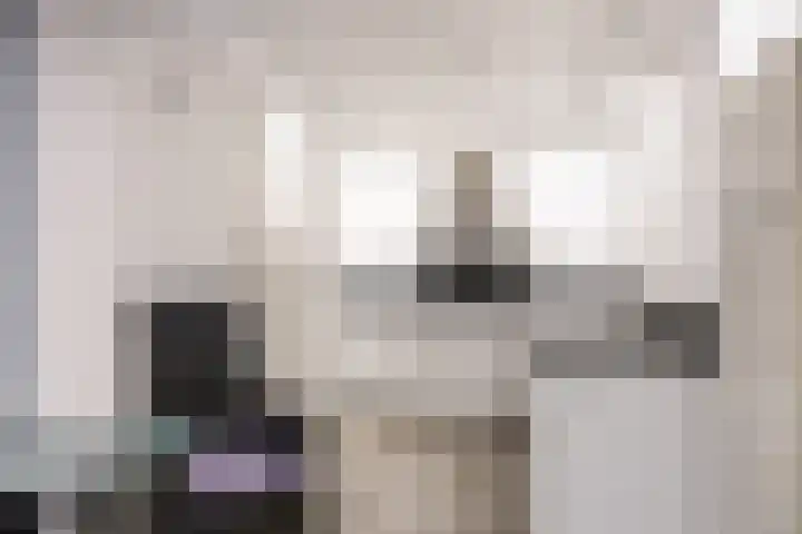 Het Anker 42 Leek thumbnail 13