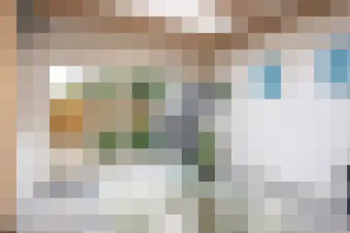 Het Anker 42 Leek thumbnail 15