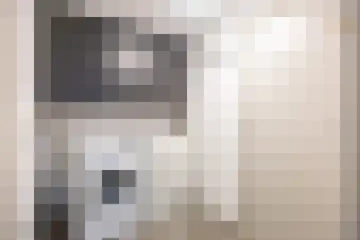 Het Anker 42 Leek thumbnail 16
