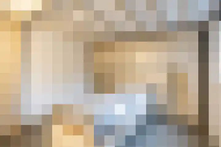 Het Anker 42 Leek thumbnail 17