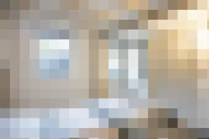 Het Anker 42 Leek thumbnail 18