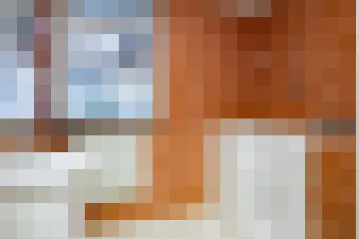 Het Anker 42 Leek thumbnail 20
