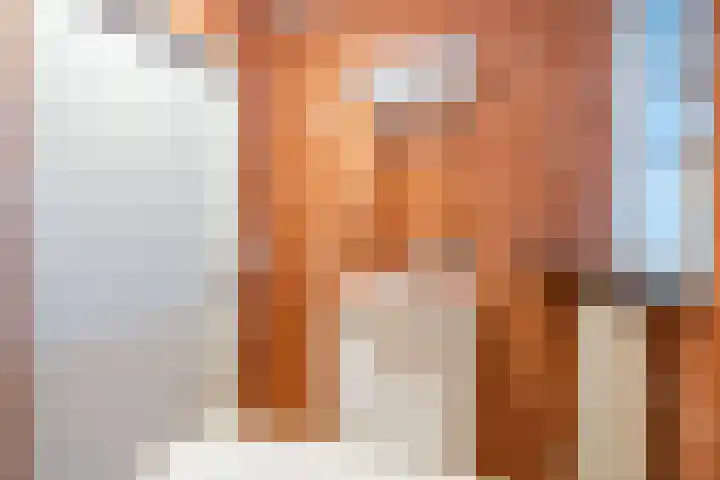 Het Anker 42 Leek thumbnail 21