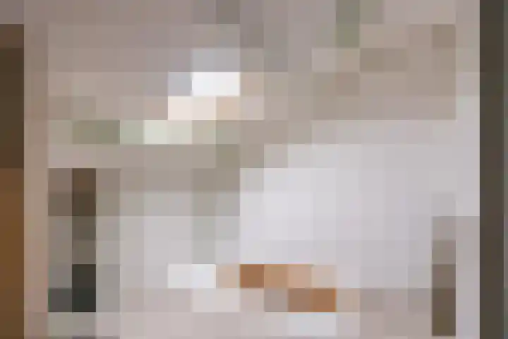 Het Anker 42 Leek thumbnail 23