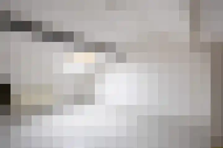 Het Anker 42 Leek thumbnail 24