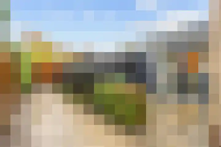 Het Anker 42 Leek thumbnail 27