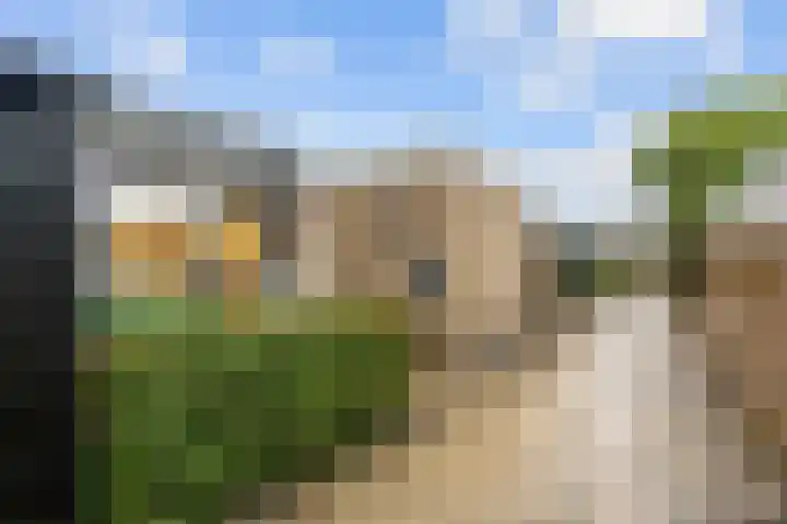 Het Anker 42 Leek thumbnail 28